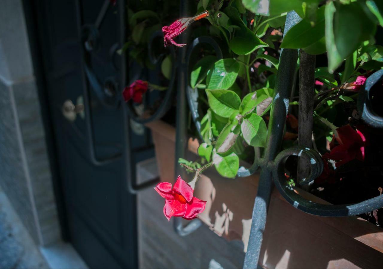 Vecchia Napoli Apt 20 Экстерьер фото